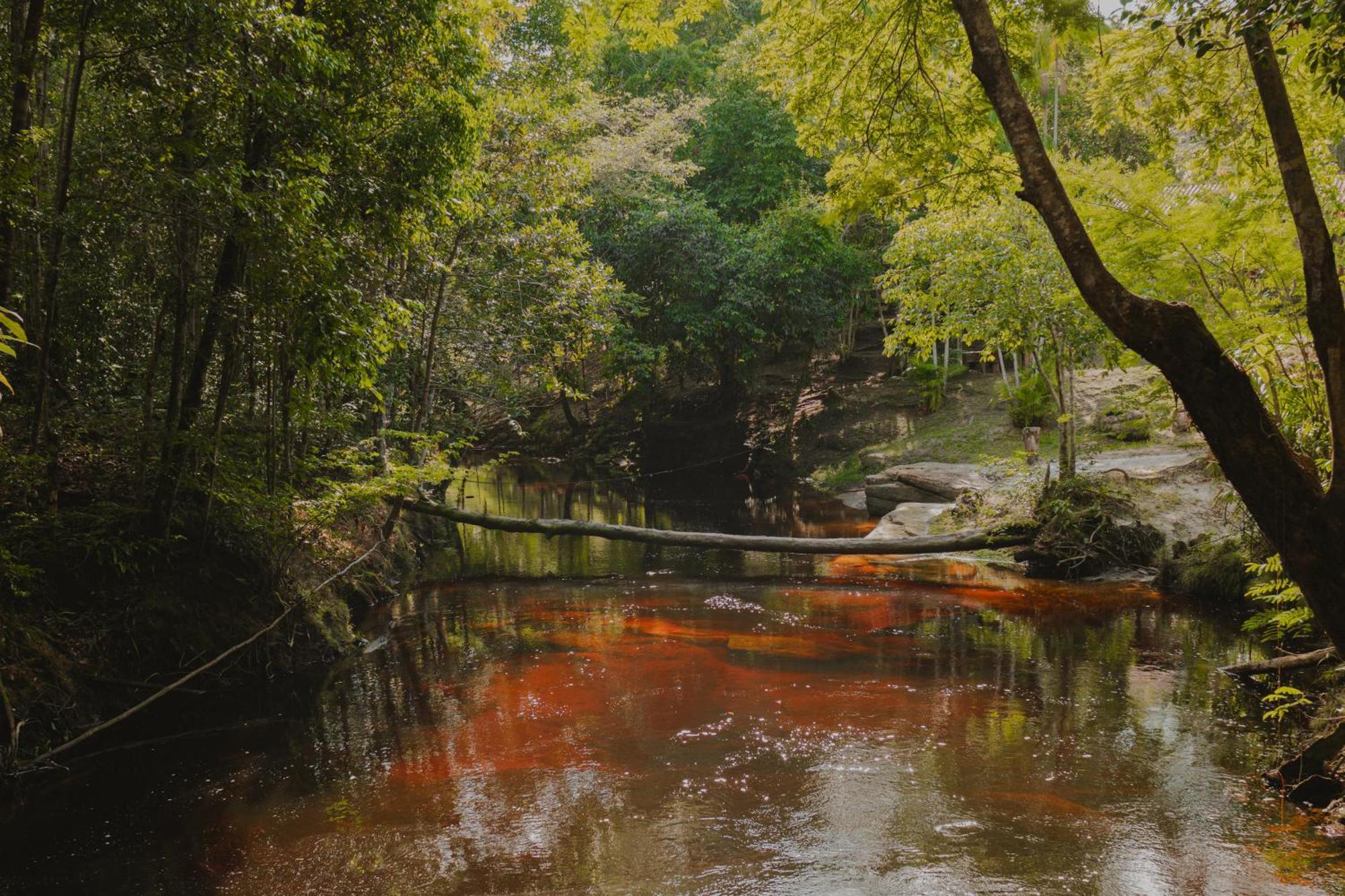 Refugio Mari Mari Lodge Presidente Figueiredo Bagian luar foto