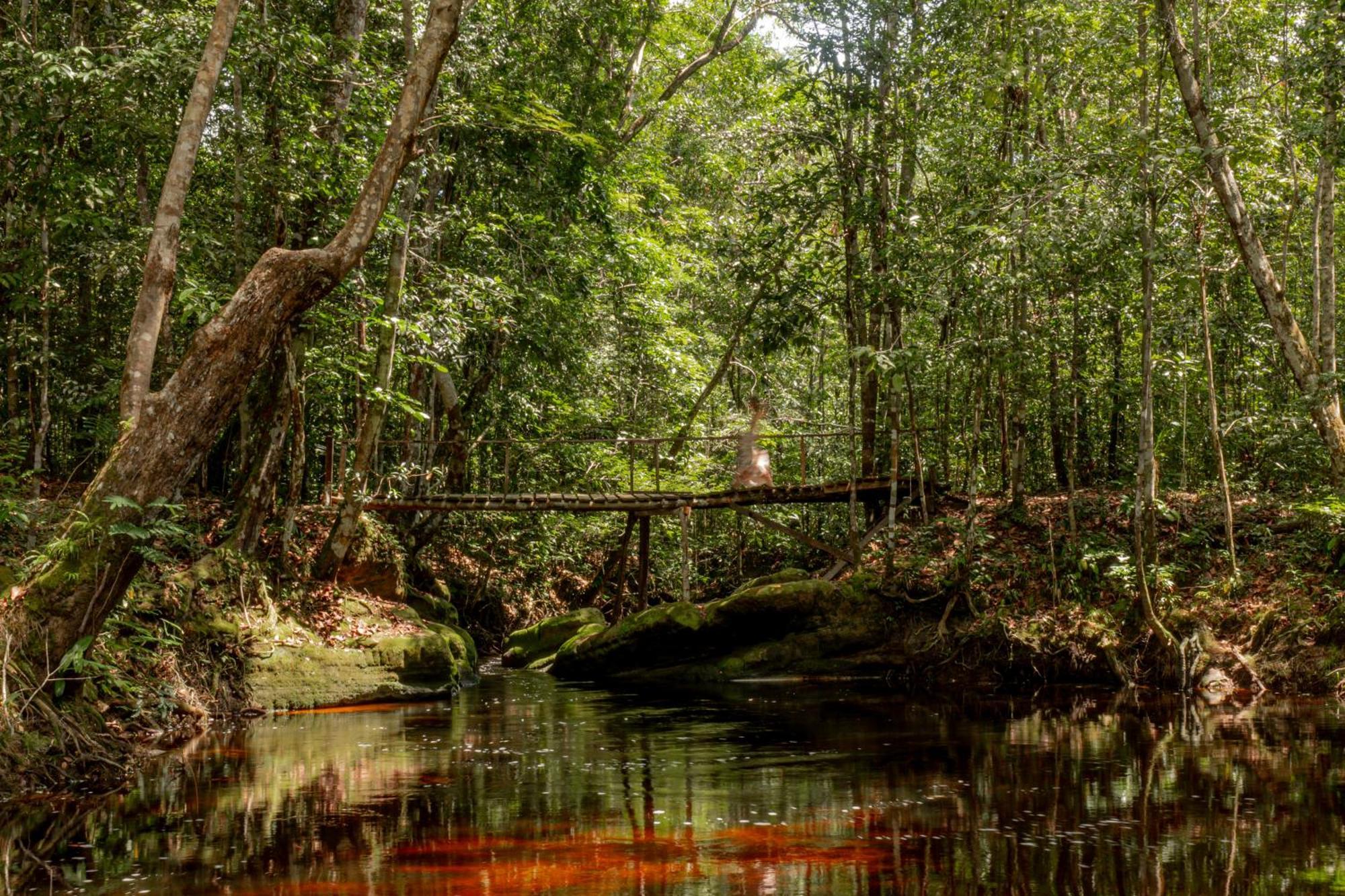 Refugio Mari Mari Lodge Presidente Figueiredo Bagian luar foto