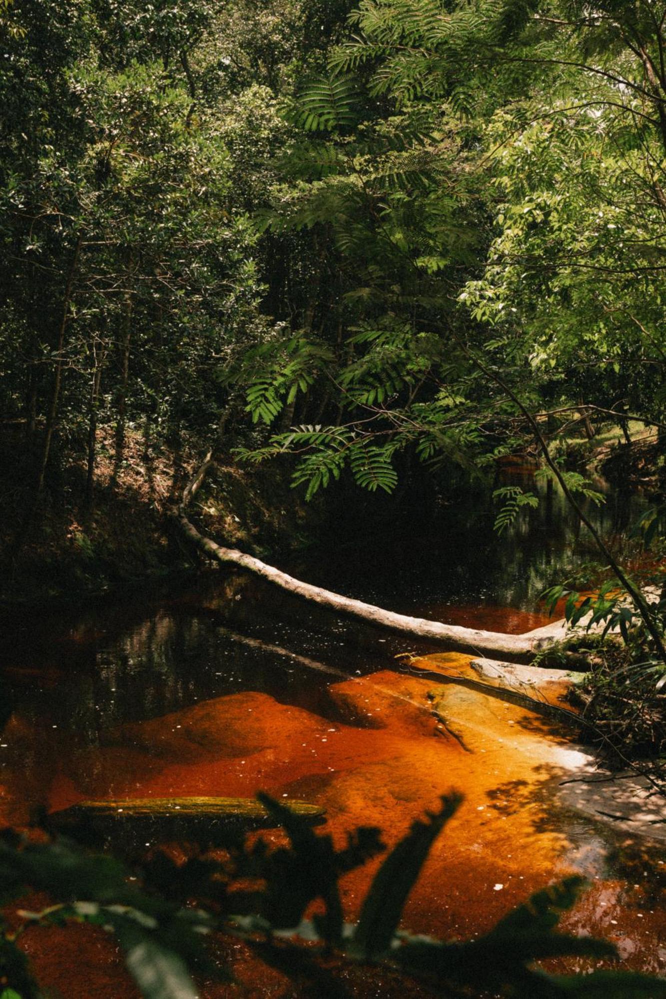 Refugio Mari Mari Lodge Presidente Figueiredo Bagian luar foto