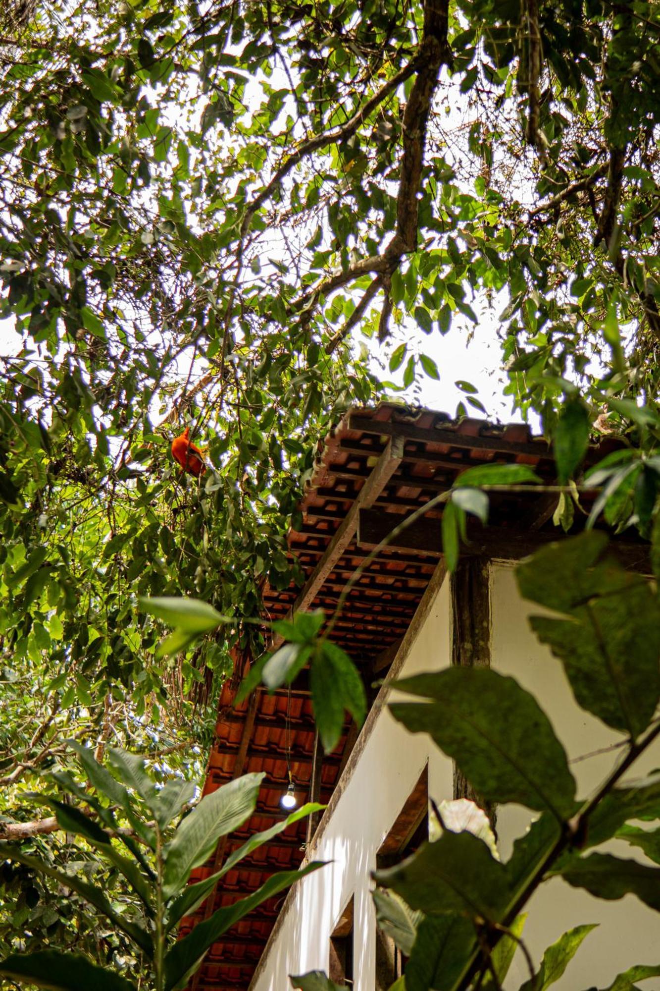 Refugio Mari Mari Lodge Presidente Figueiredo Bagian luar foto